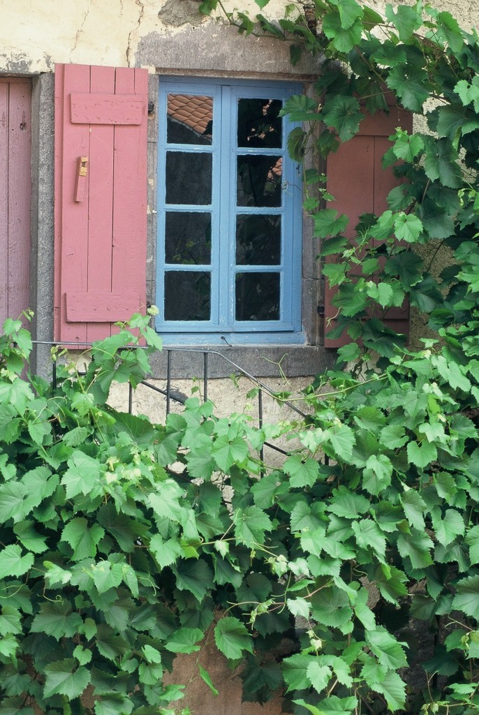 Une maison vigneronne au Gamounet